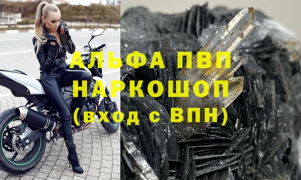 ГАЛЛЮЦИНОГЕННЫЕ ГРИБЫ Инсар