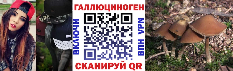 Галлюциногенные грибы GOLDEN TEACHER  Семилуки 