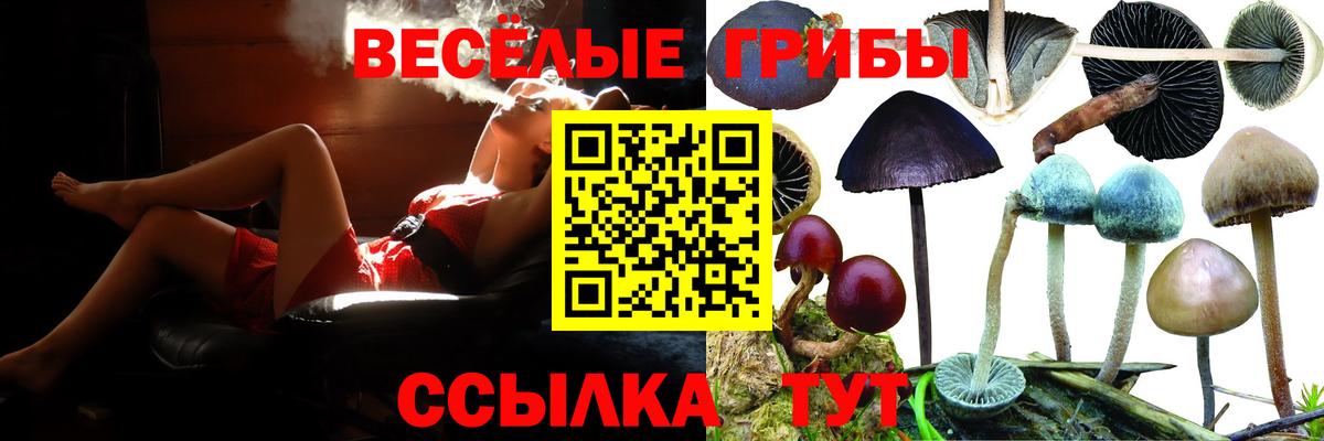 Галлюциногенные грибы прущие грибы  магазин продажи   Семилуки  Галлюциногенные грибы мухоморы  Вход с VPN 